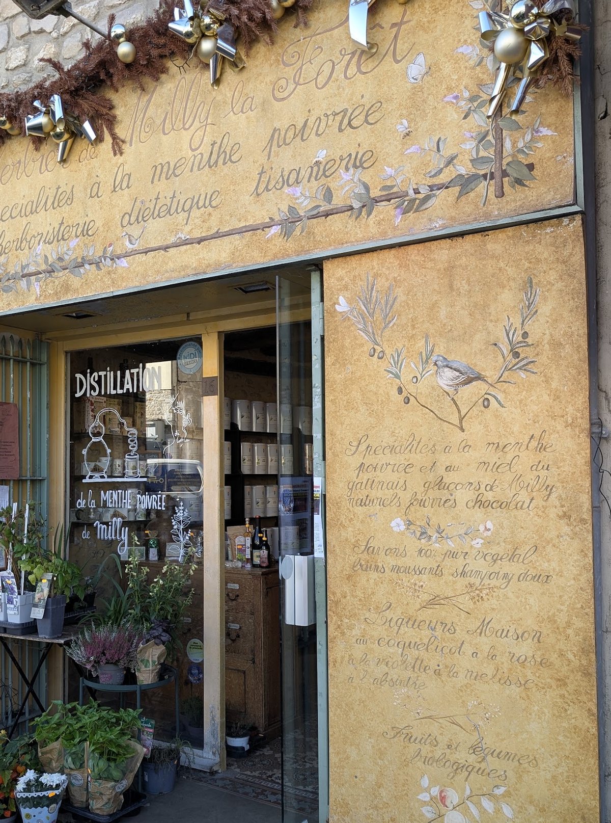 L'entrée de L'Herbier de Milly, plantes et vitrine de produits